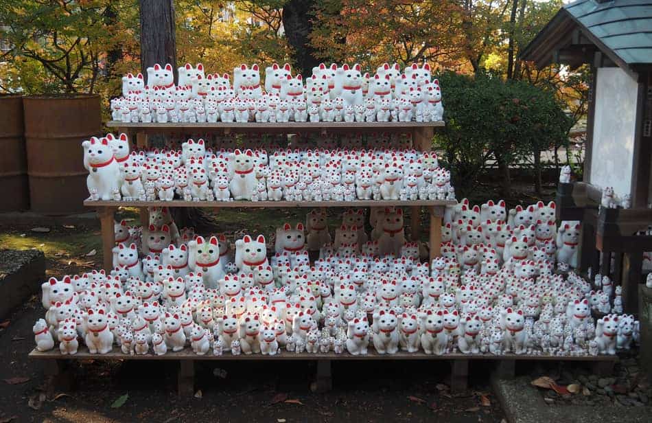 A table with many many Japanese lucky cats.