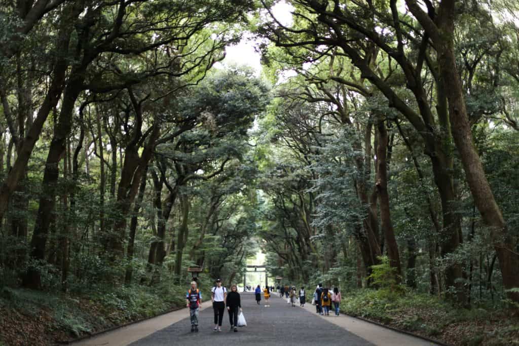 A long valley in Meiji Jingu Gaien with people walking slowly.