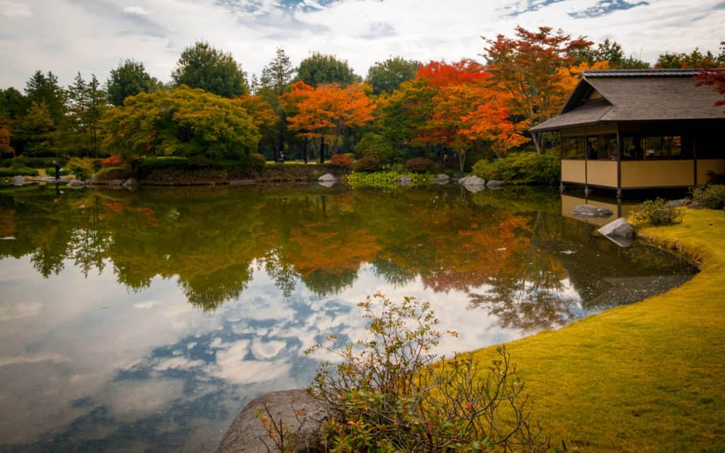 Pond in Showa Memorial Park.