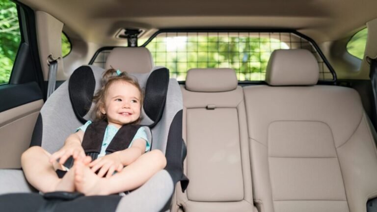 japan car seat laws